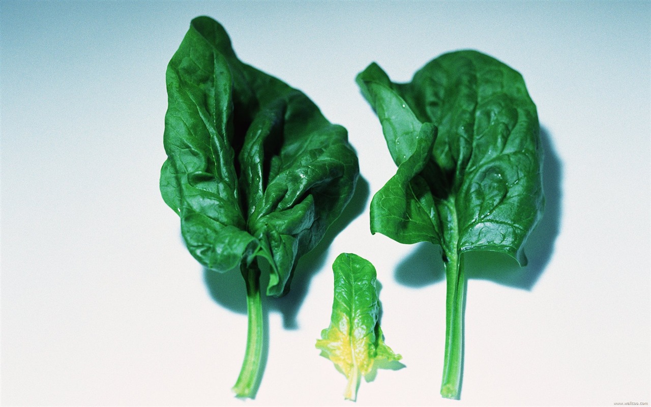 Wallpaper grün gesundes Gemüse #22 - 1280x800