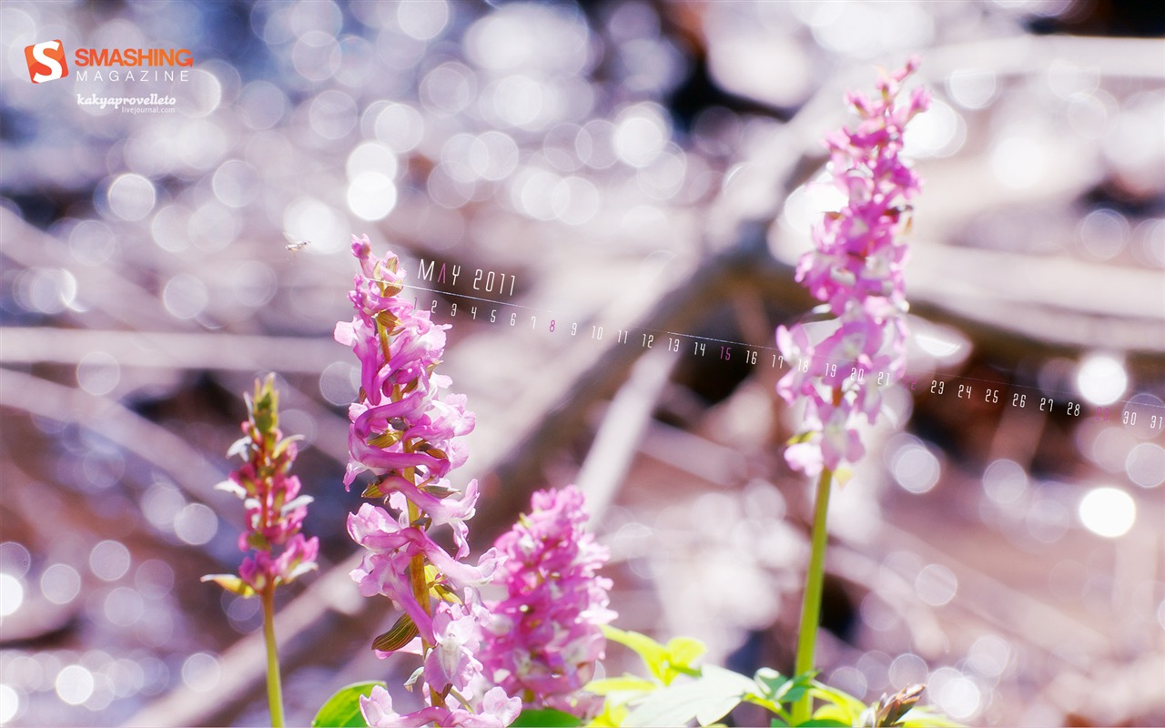 2011年5月 月曆壁紙(一) #7 - 1280x800