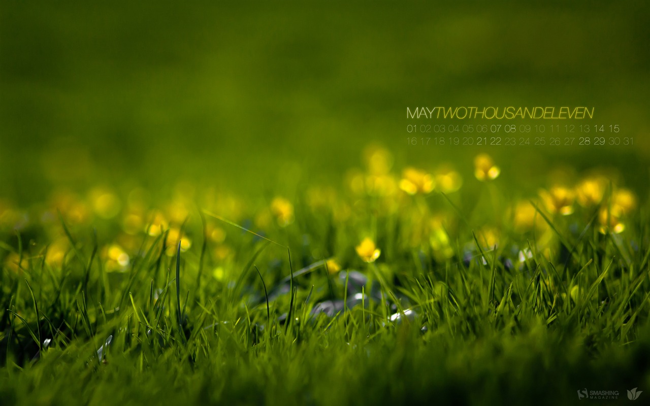 2011年5月 月曆壁紙(一) #11 - 1280x800