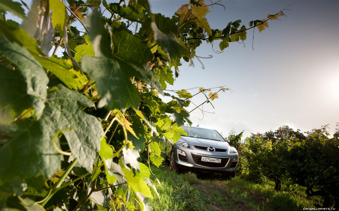 Mazda CX-7 - 2010 馬自達 #47 - 1280x800