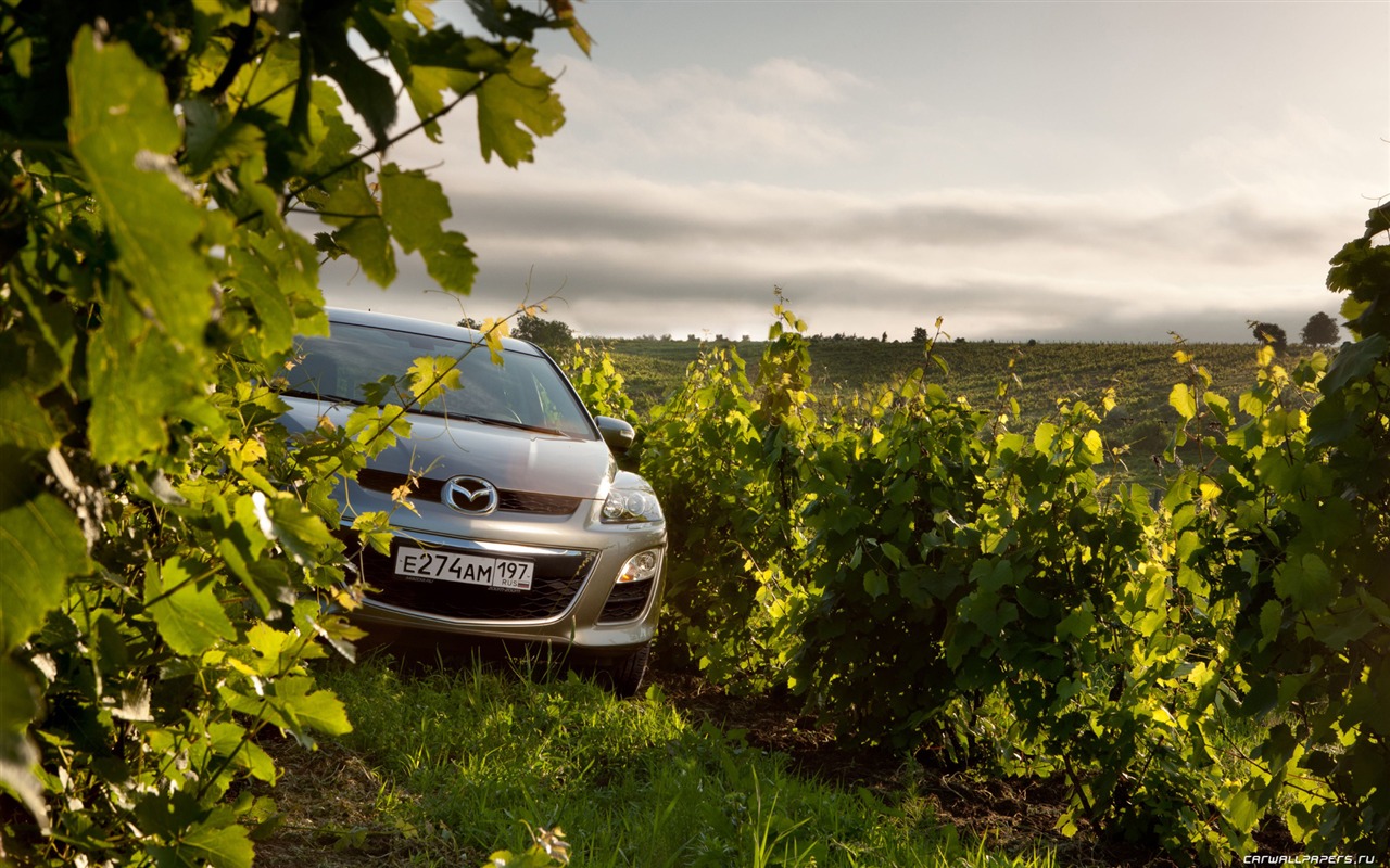 Mazda CX-7 - 2010 馬自達 #48 - 1280x800