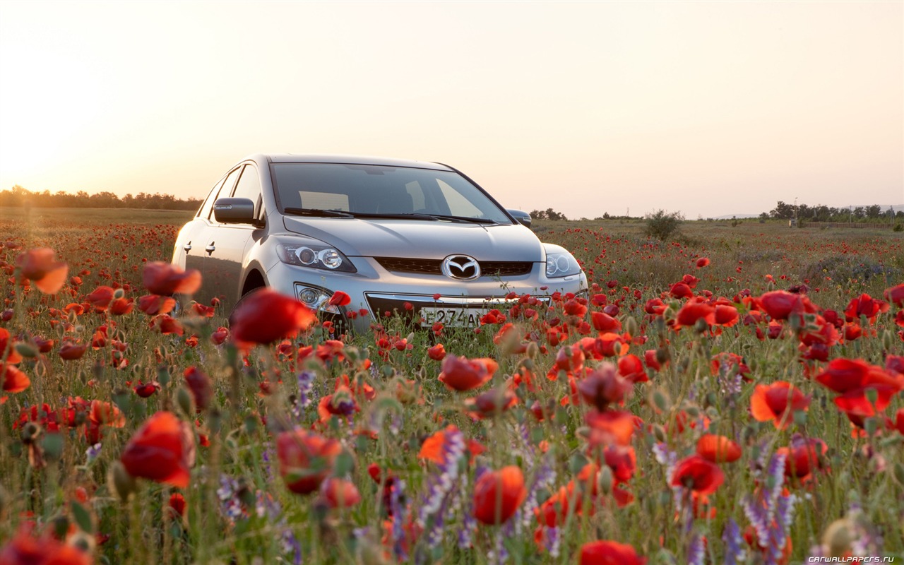 Mazda CX-7 - 2010 马自达55 - 1280x800