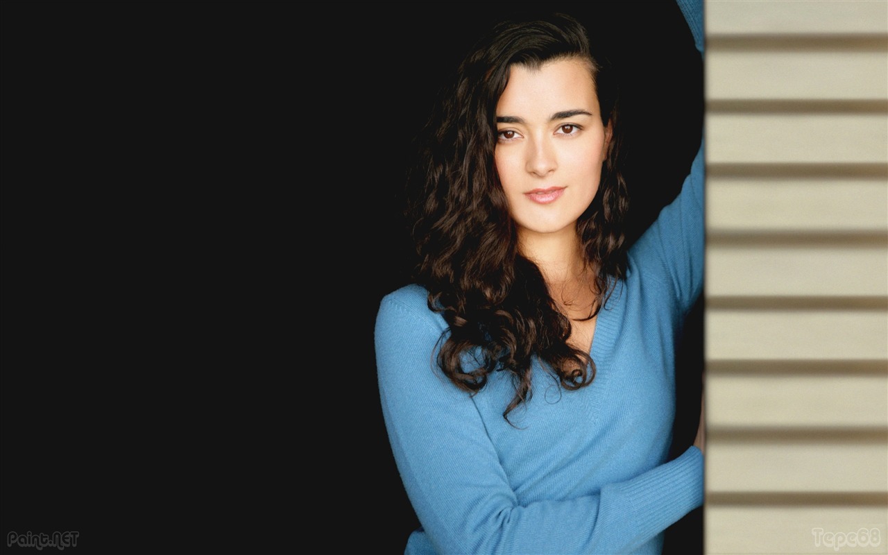 Cote de Pablo krásnou tapetu #14 - 1280x800