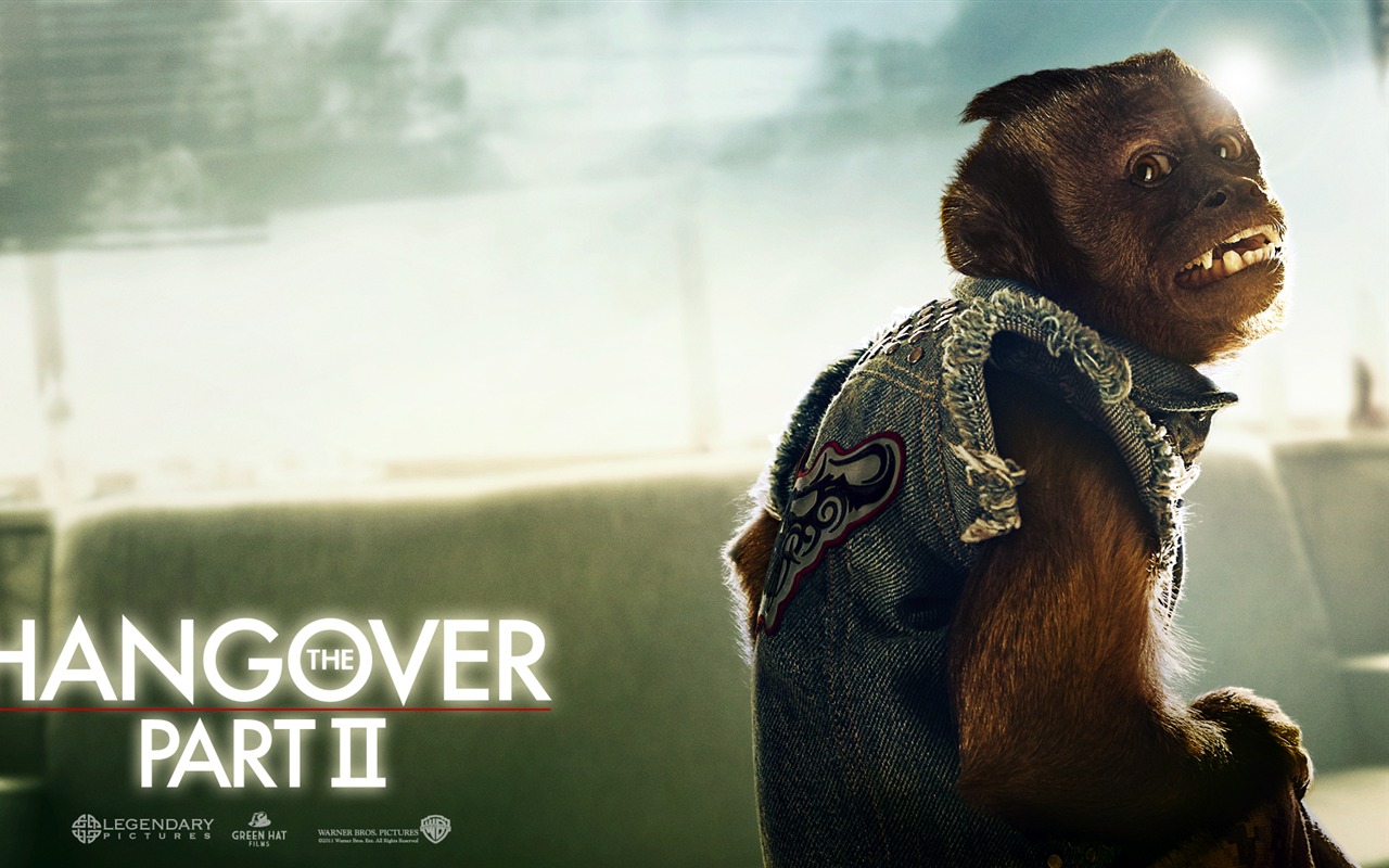 The Hangover Part II 宿醉2 壁紙專輯 #7 - 1280x800