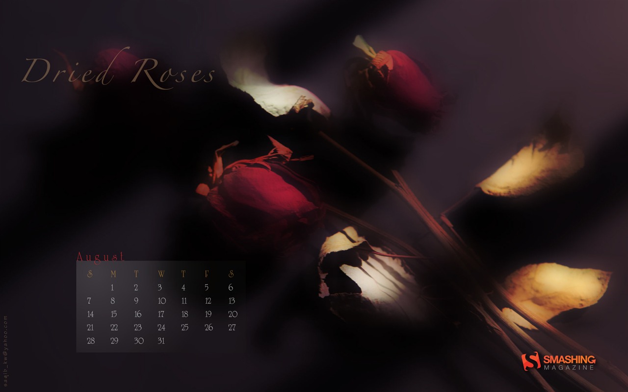 2011年8月 月曆壁紙(一) #14 - 1280x800