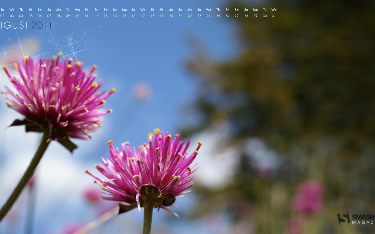 August 2011 calendar wallpaper (2) #7 - 1280x800