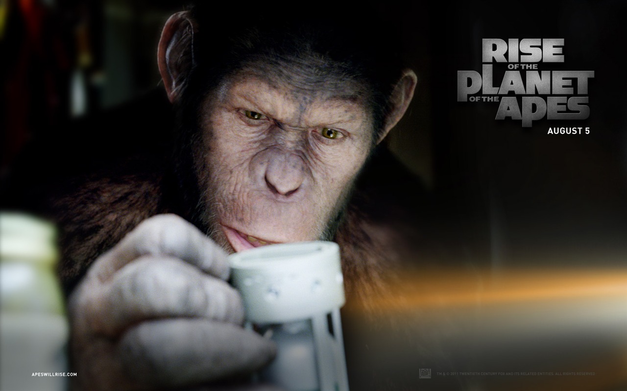 Rise of the Planet of the Apes 猿族崛起壁紙專輯 #3 - 1280x800