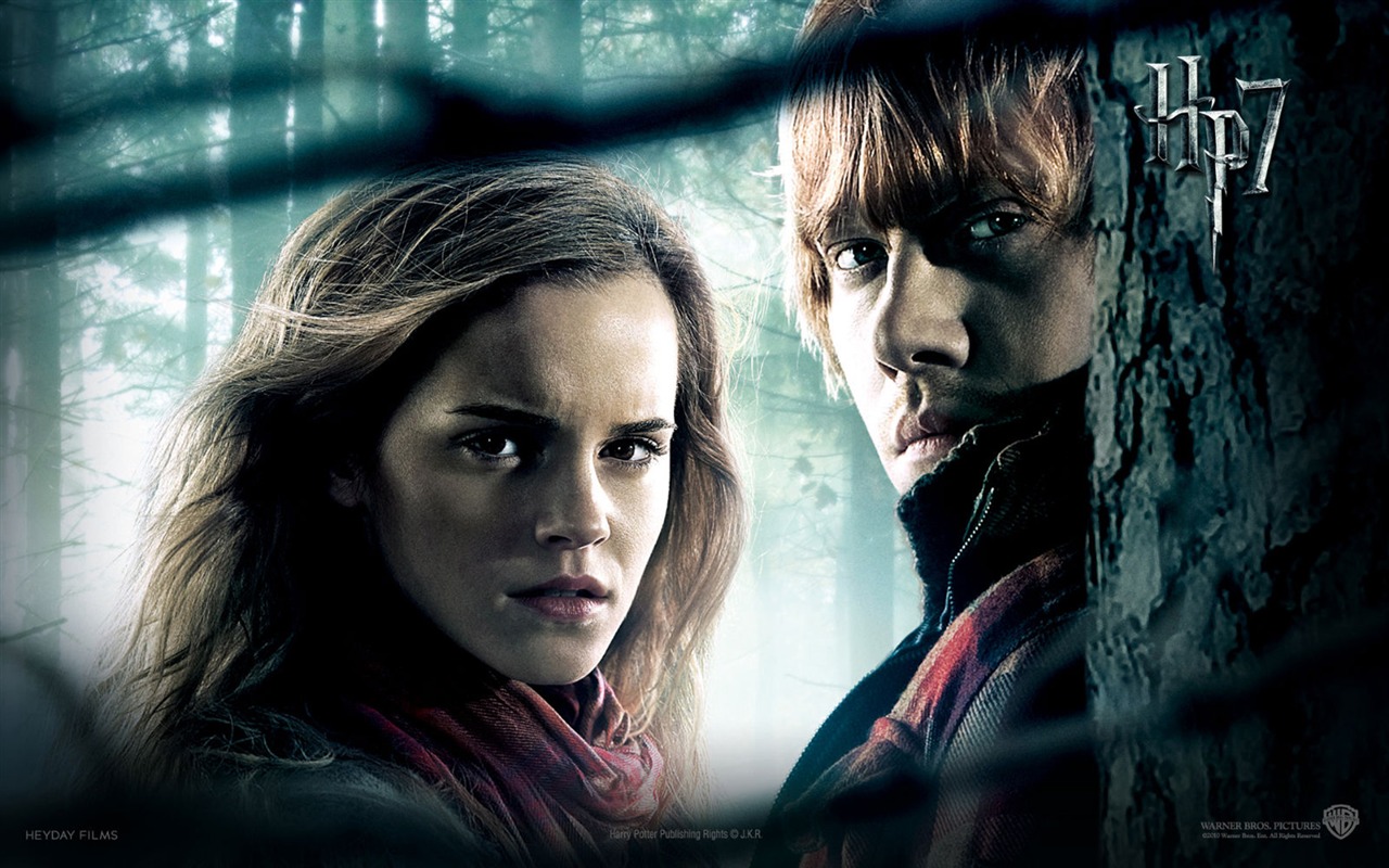 Harry Potter and the Deathly Hallows 哈利·波特與死亡聖器 高清壁紙 #4 - 1280x800
