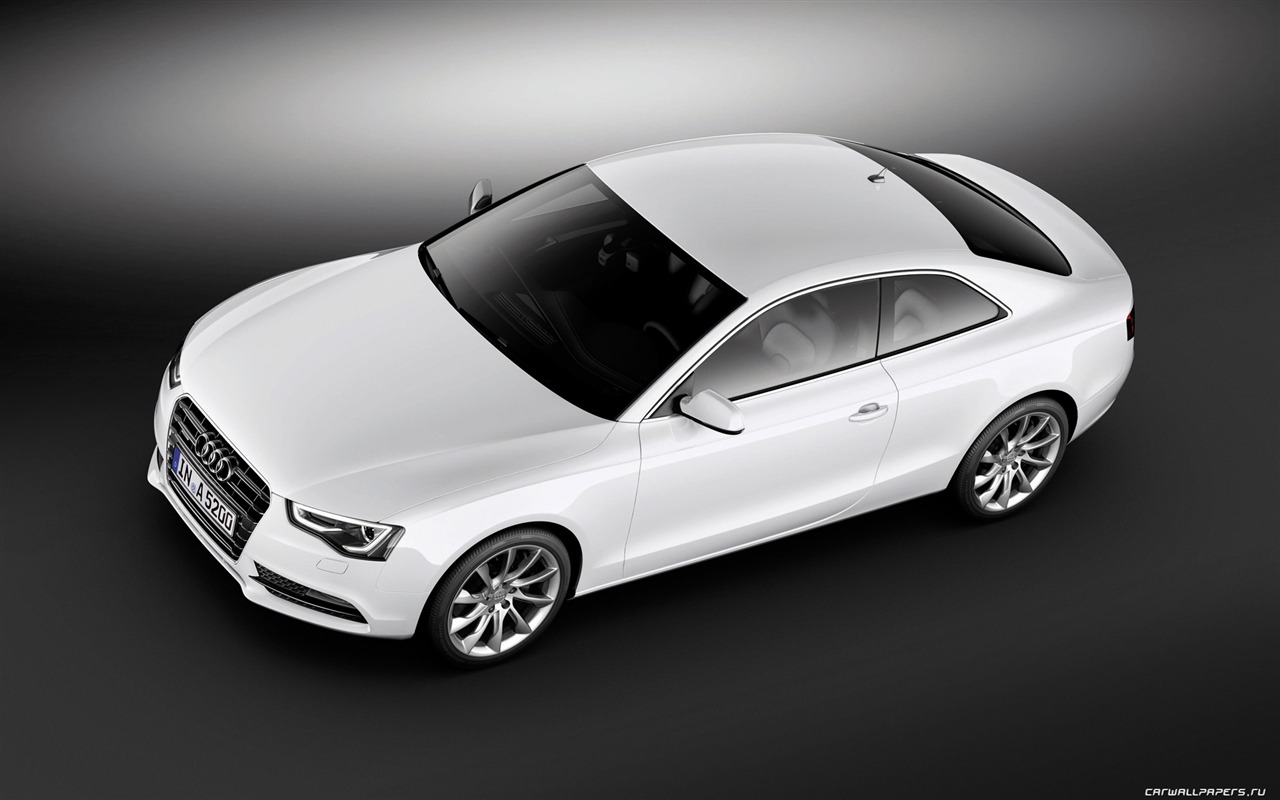 Audi A5 Coupe - 2011 奥迪10 - 1280x800