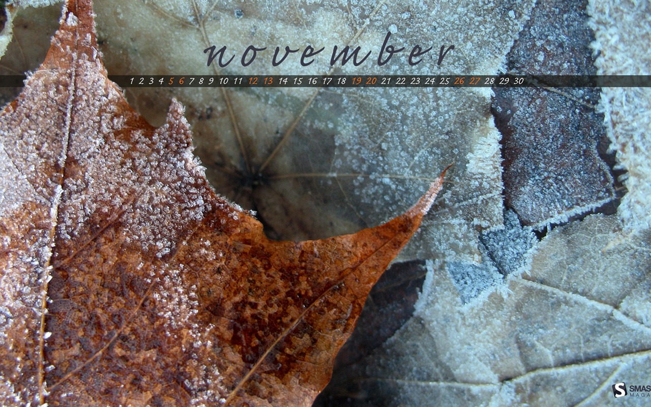 November 2011 Kalender Wallpaper (2) #14 - 1280x800