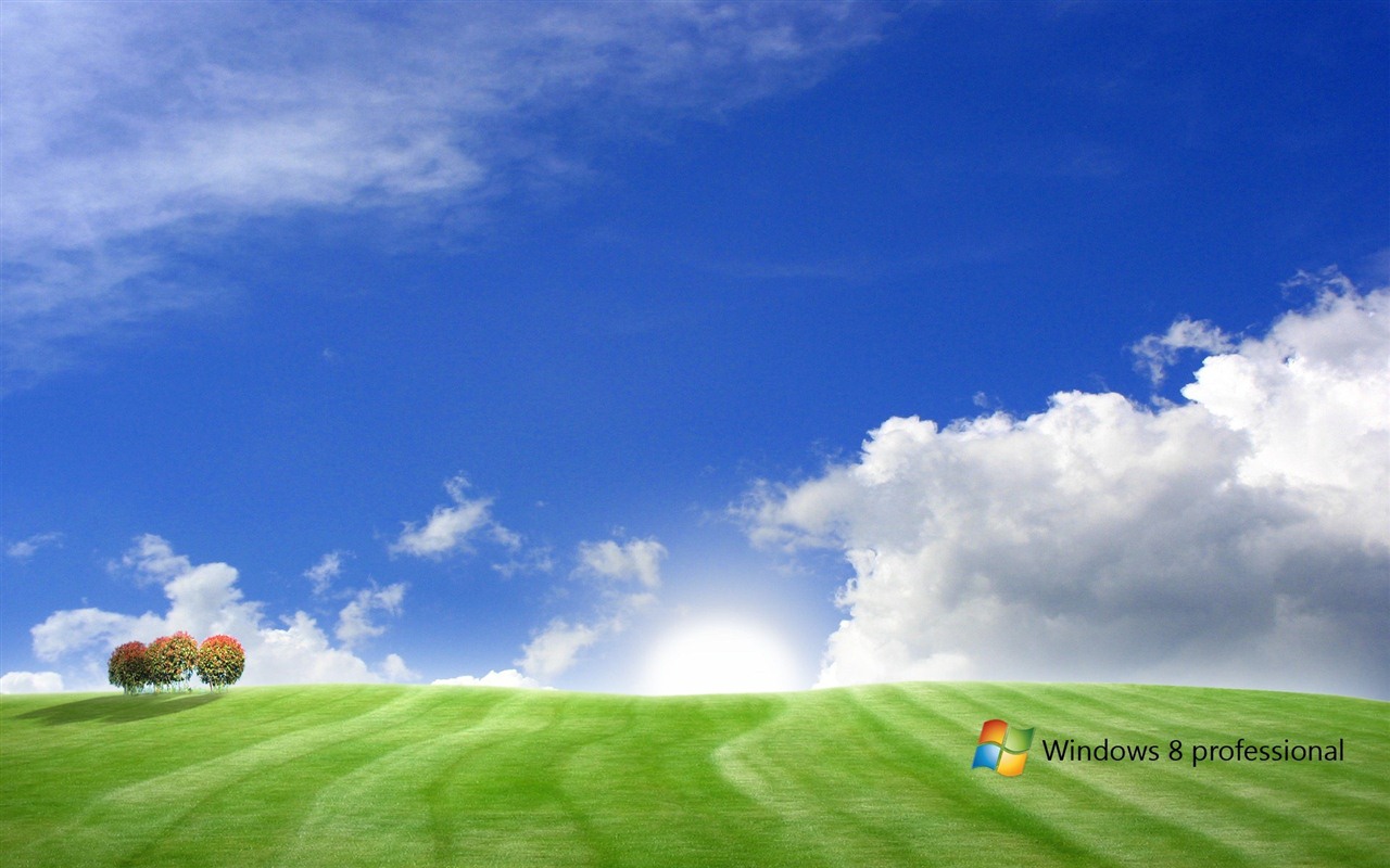 Windows 8 主题壁纸 (一)2 - 1280x800