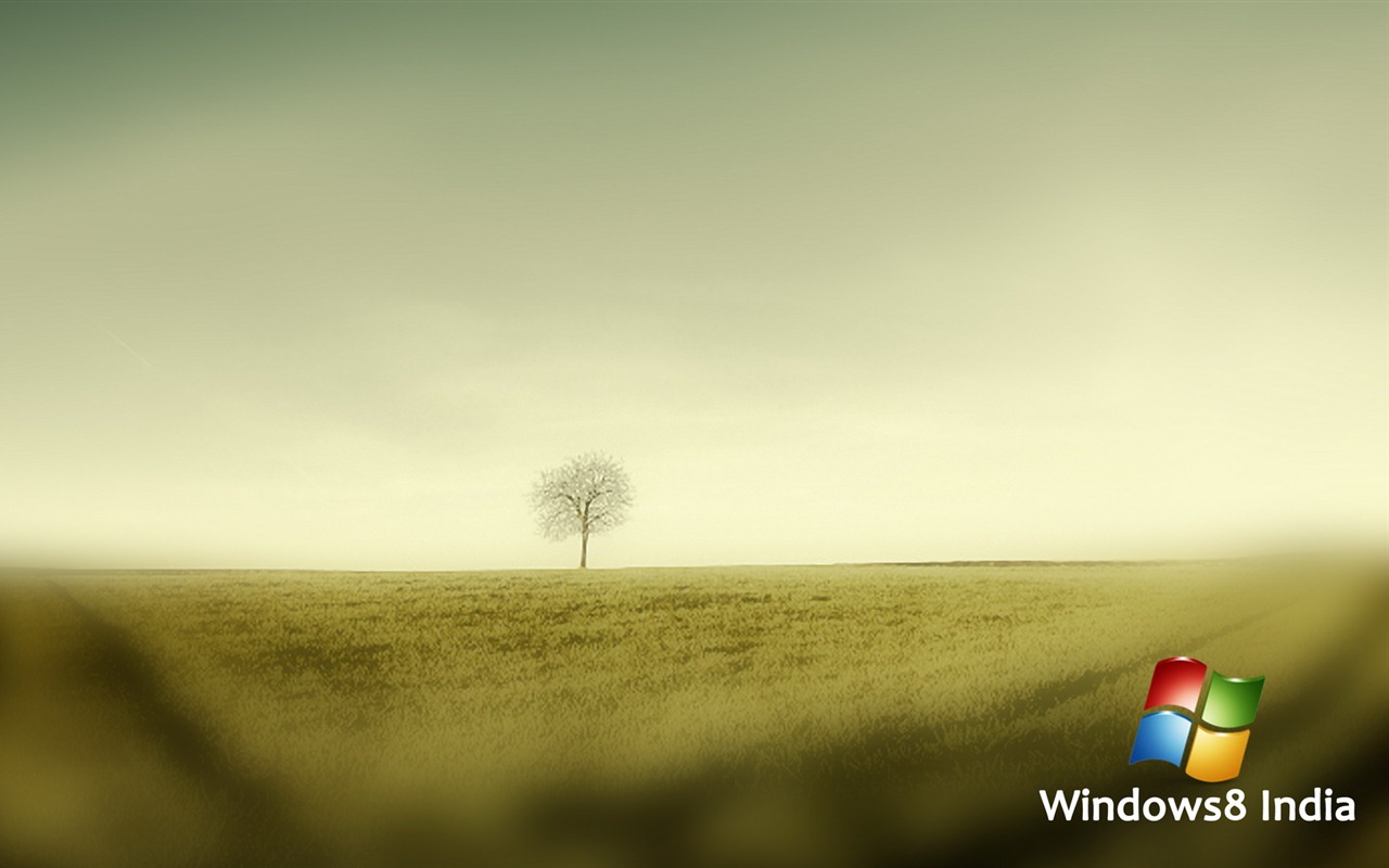 Windows 8 主题壁纸 (一)5 - 1280x800