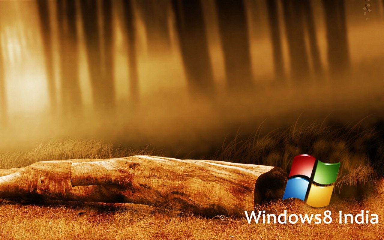 Windows 8 主题壁纸 (一)8 - 1280x800