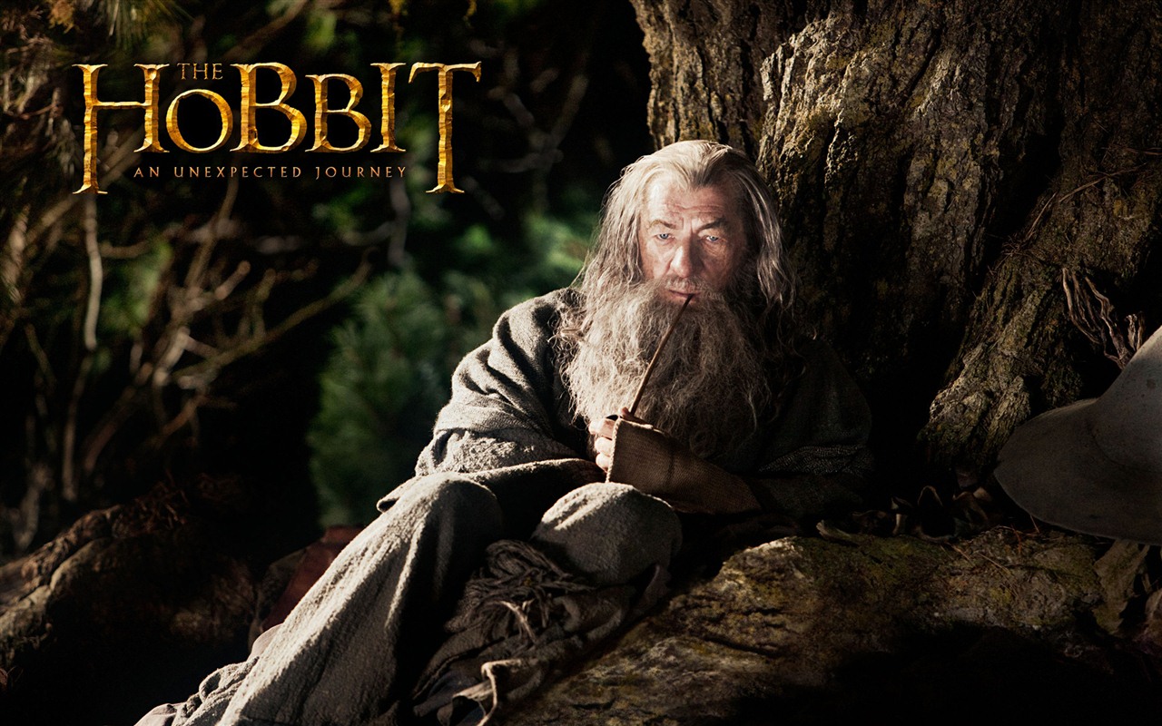 The Hobbit: An Unexpected Journey HD wallpapers #10 - 1280x800