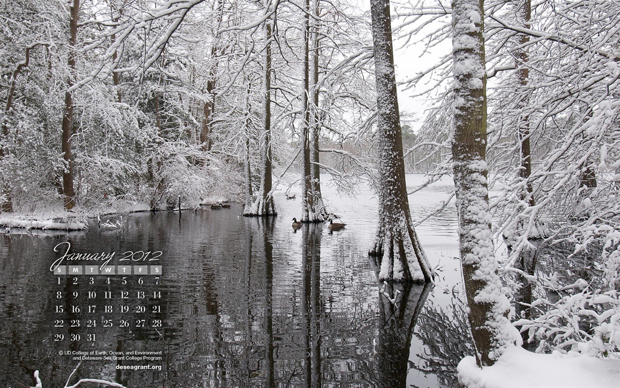 2012年1月 月曆壁紙 #2 - 1280x800