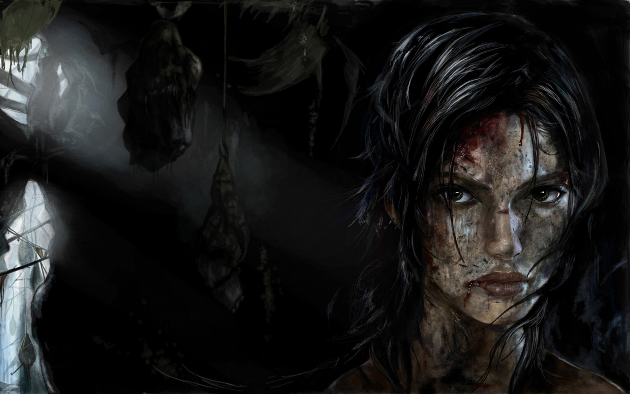 Tomb Raider 9 HD wallpapers #12 - 1280x800