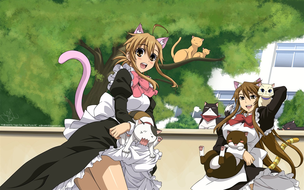 Nyan Koi! HD tapety na plochu #2 - 1280x800