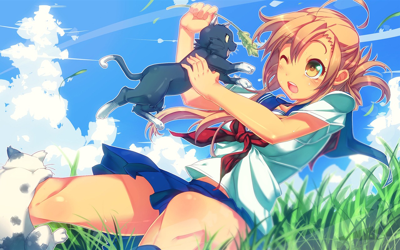 Nyan Koi! HD wallpapers #25 - 1280x800