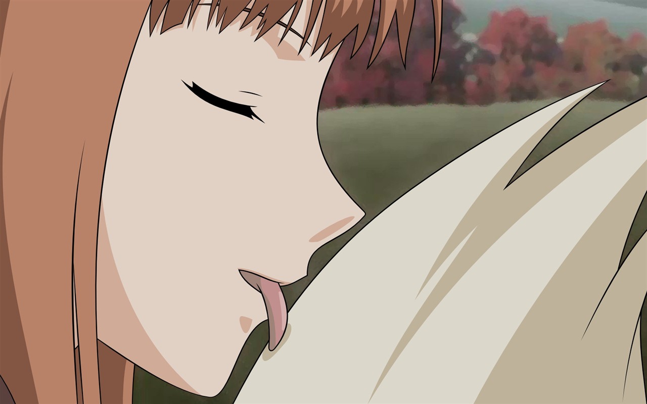 Spice and Wolf 狼與香辛料 高清壁紙 #9 - 1280x800