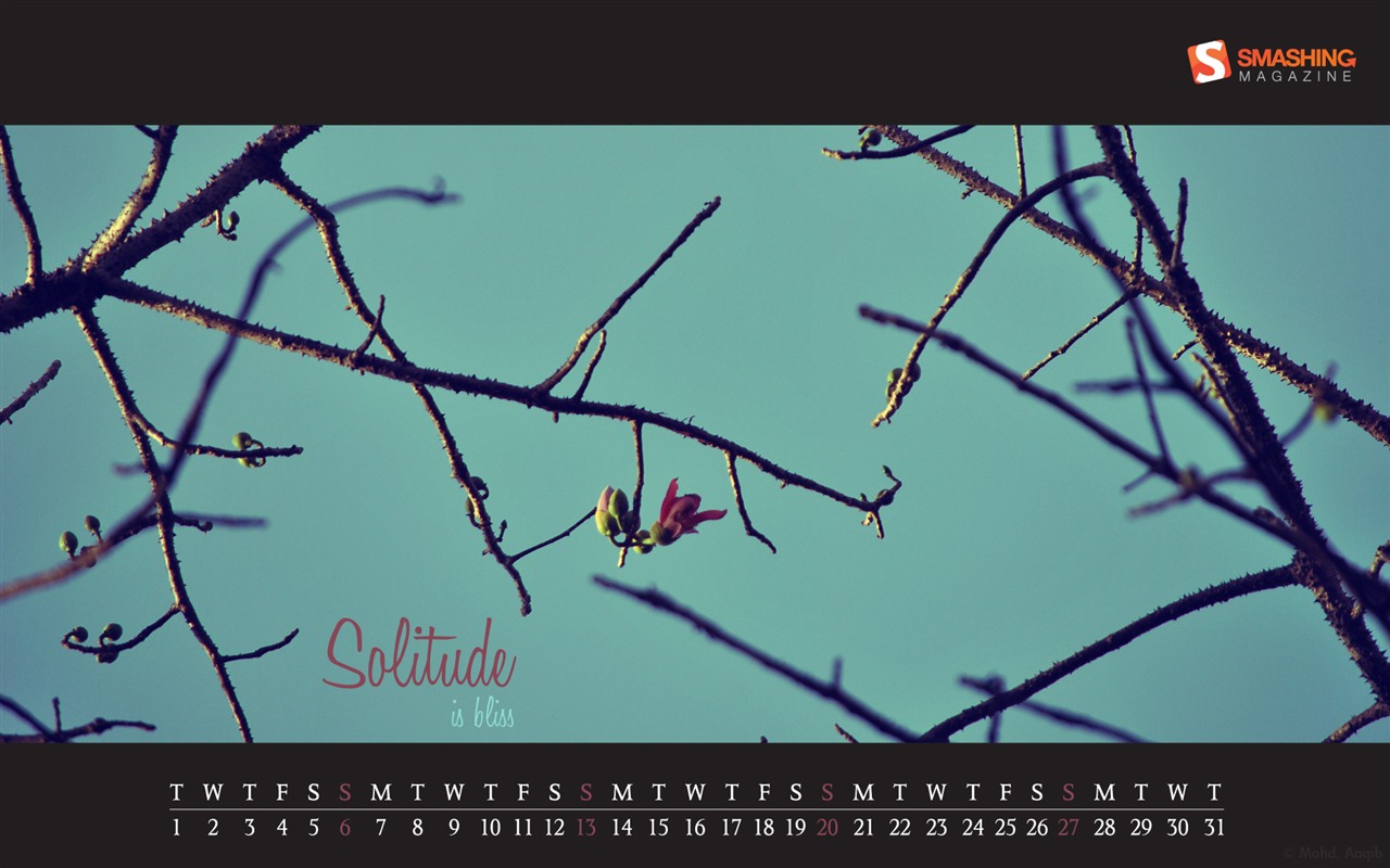 Mai 2012 Kalender Wallpapers (2) #7 - 1280x800