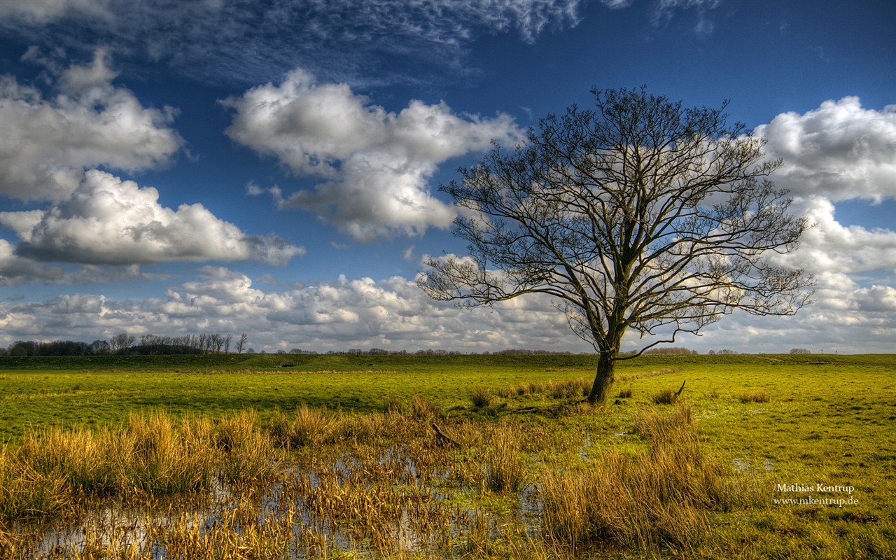 Fondos de pantalla de Windows 7: Impresiones de Schleswig-Holstein tema #5 - 1280x800