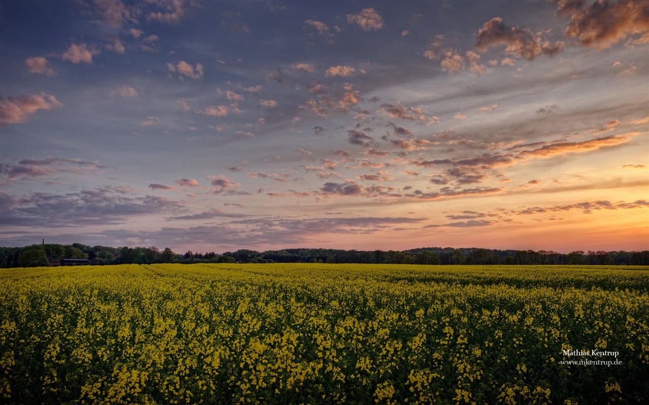 Fondos de pantalla de Windows 7: Impresiones de Schleswig-Holstein tema #13 - 1280x800