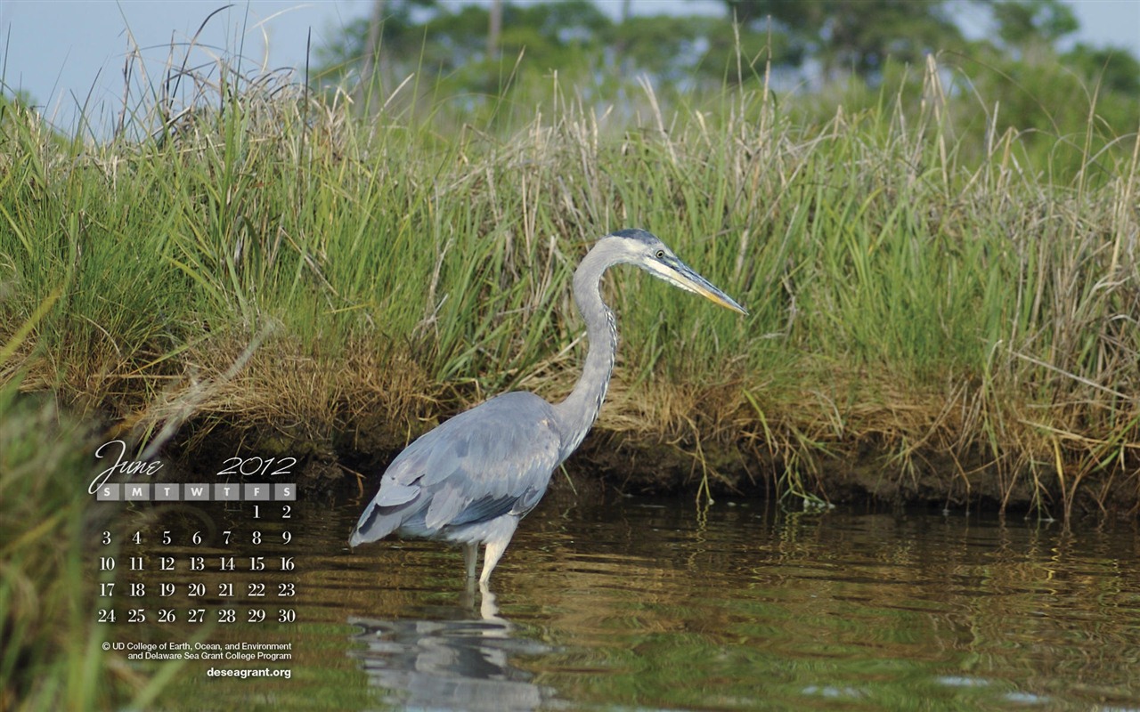 2012年6月 月历壁纸(一)10 - 1280x800