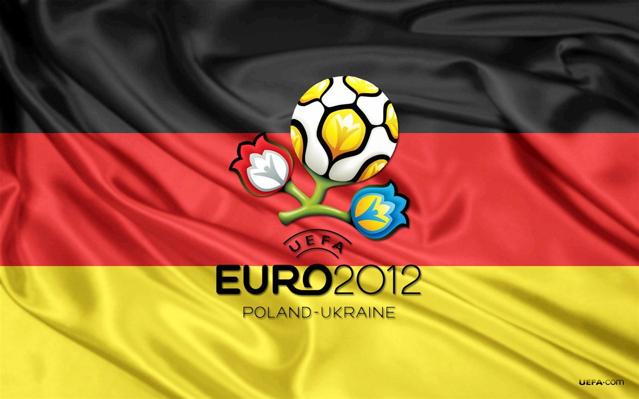 UEFA EURO 2012 欧洲足球锦标赛 高清壁纸(一)14 - 1280x800