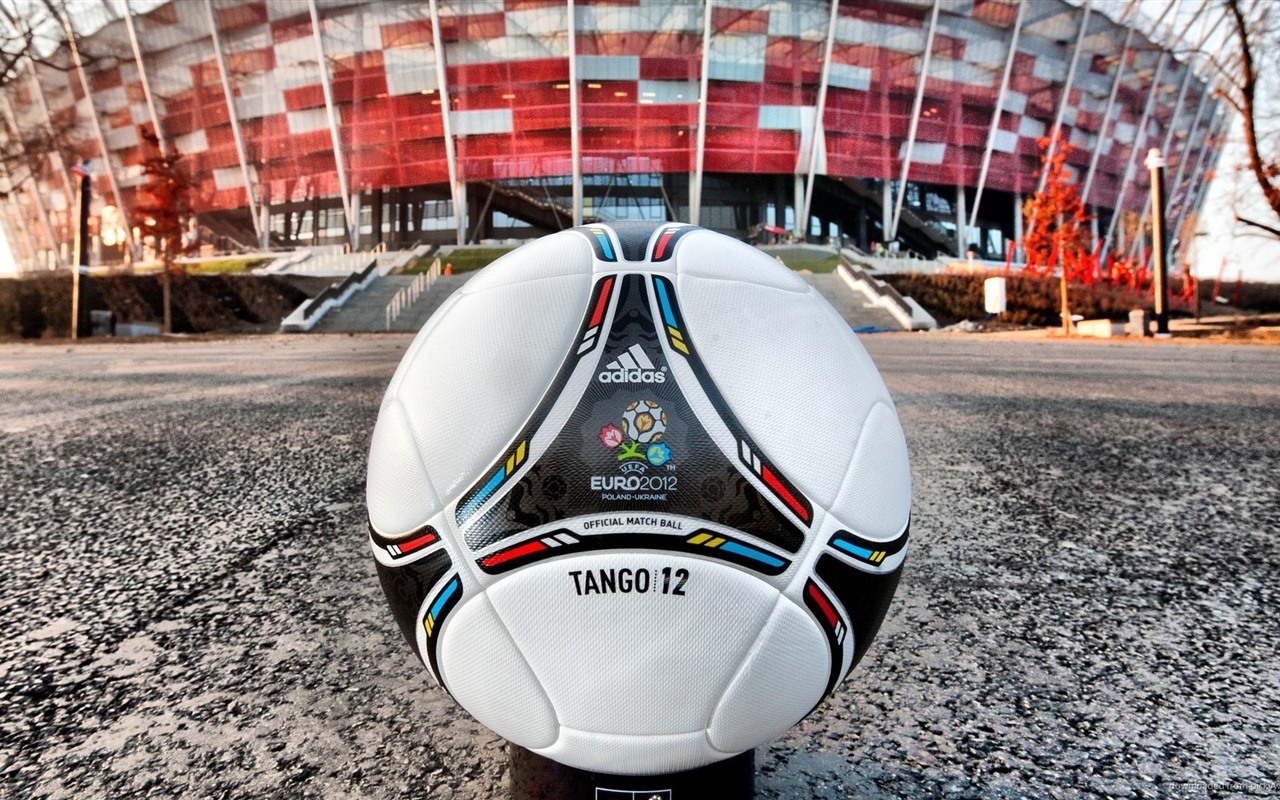 UEFA EURO 2012 欧洲足球锦标赛 高清壁纸(一)18 - 1280x800