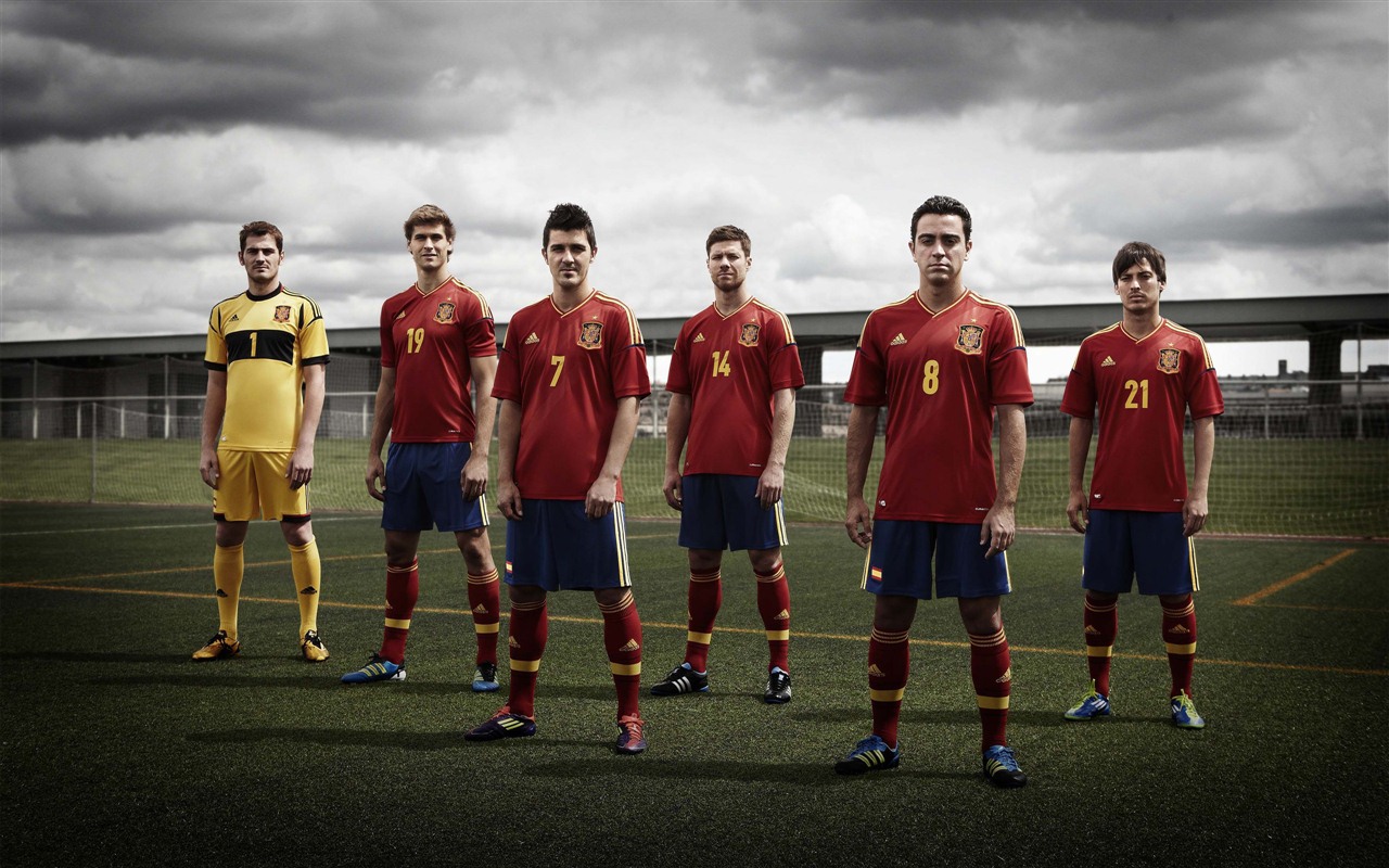 UEFA EURO 2012年歐錦賽高清壁紙(二) #8 - 1280x800