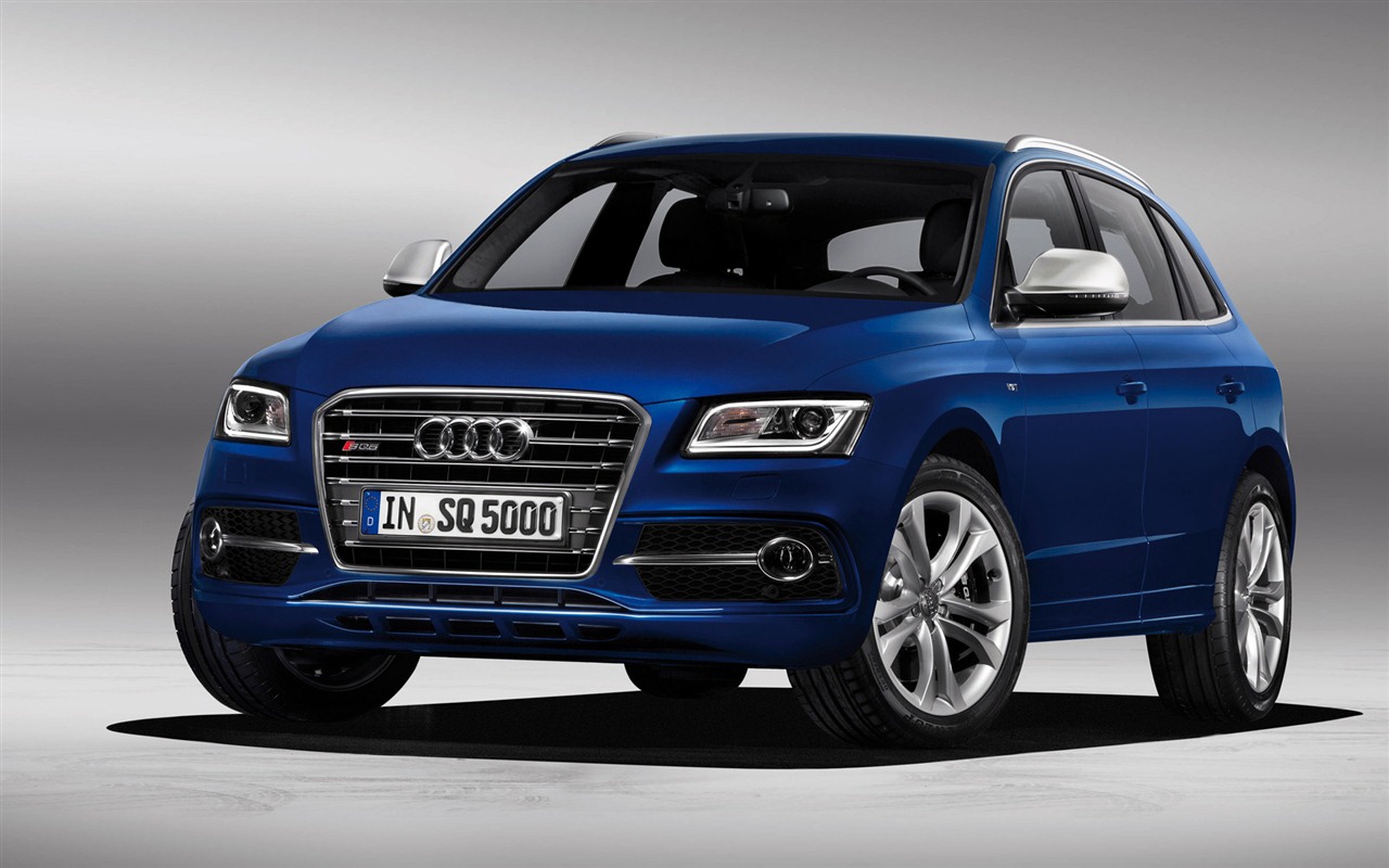 2013 Audi SQ5 TDI 奥迪 高清壁纸1 - 1280x800