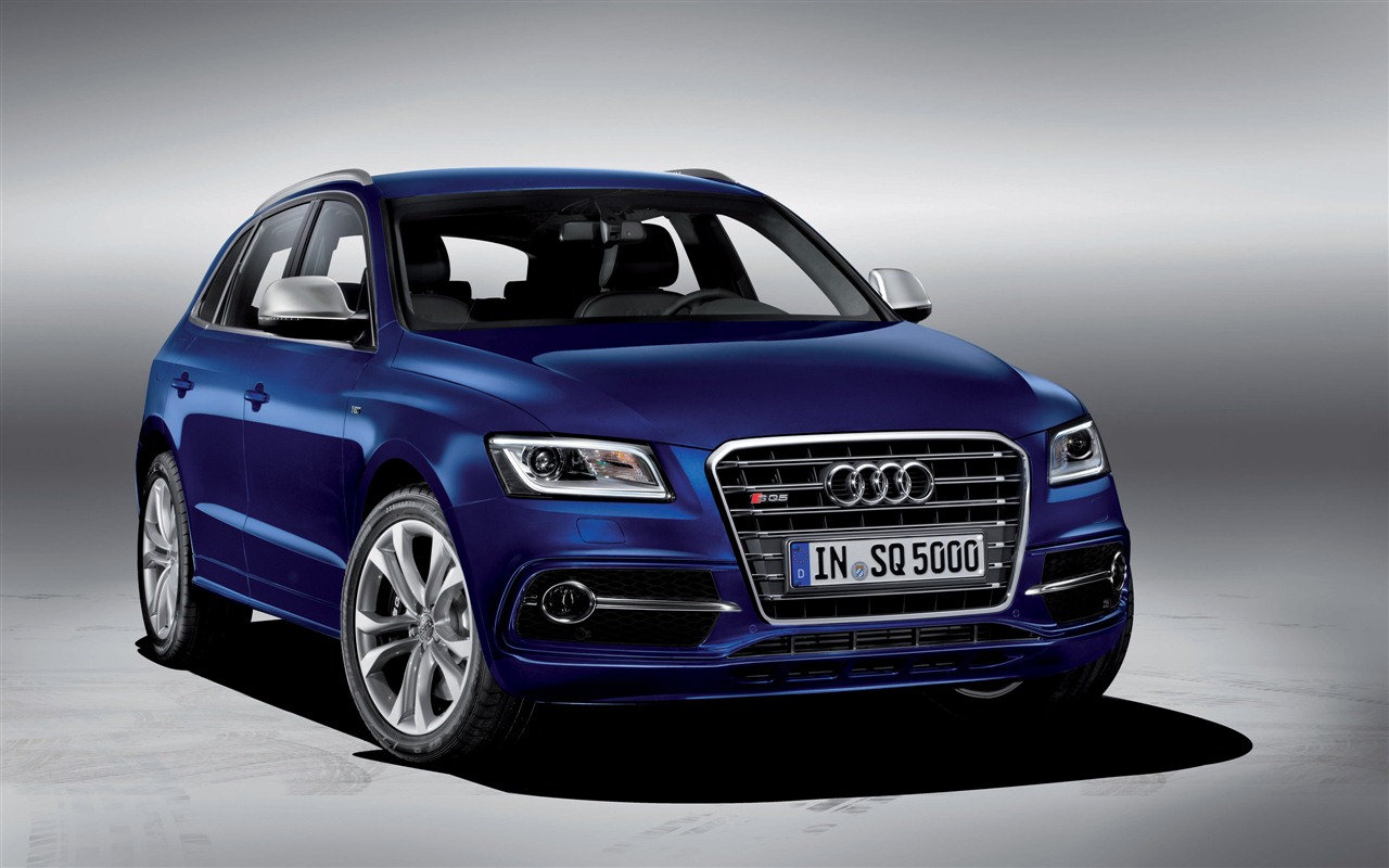 2013 Audi SQ5 TDI 奥迪 高清壁纸2 - 1280x800