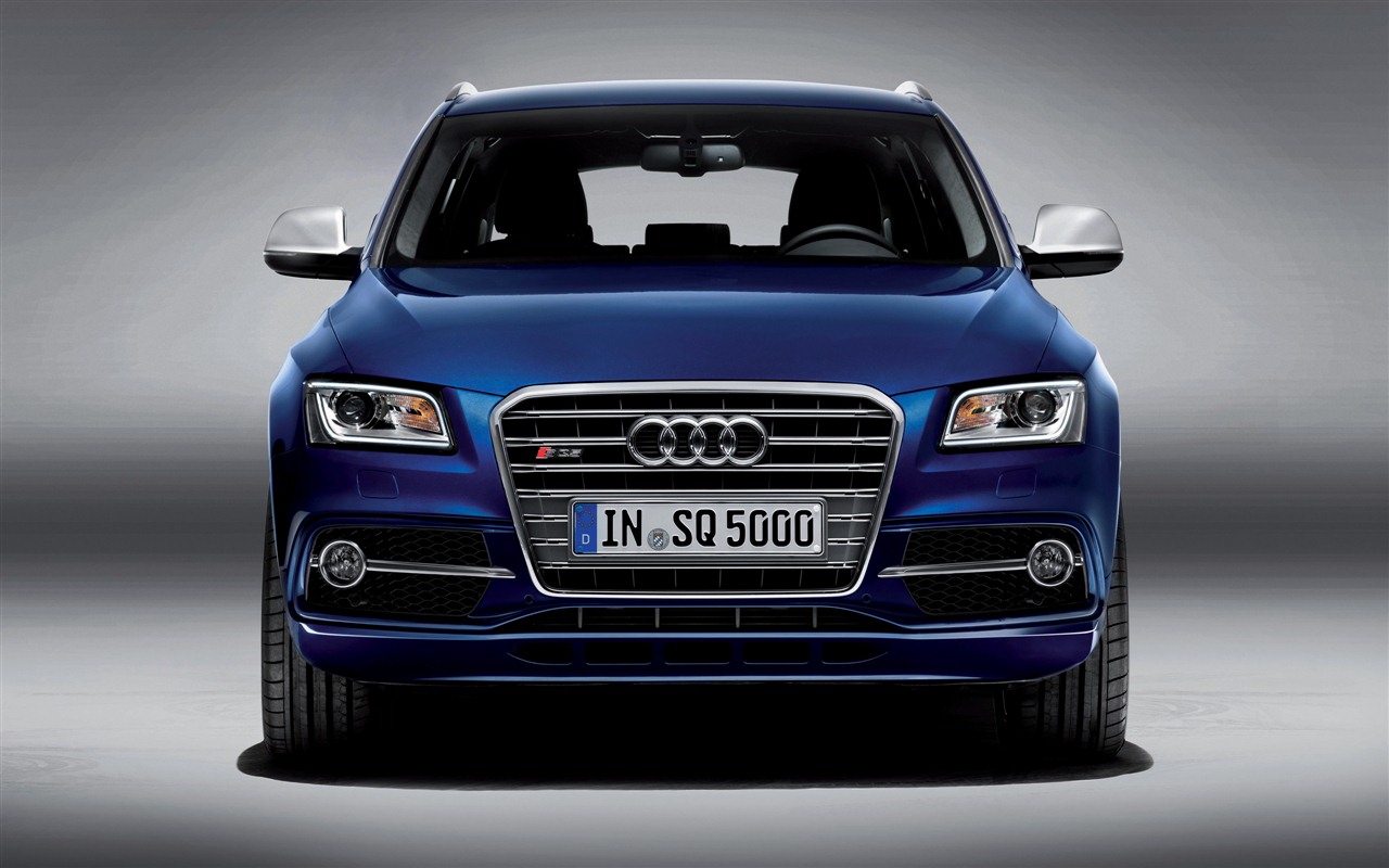 2013 Audi TDI SQ5 HD Wallpaper #3 - 1280x800