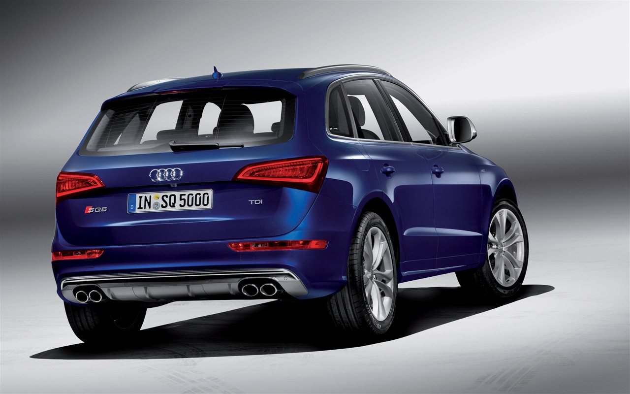 2013 Audi TDI SQ5 HD tapety na plochu #4 - 1280x800