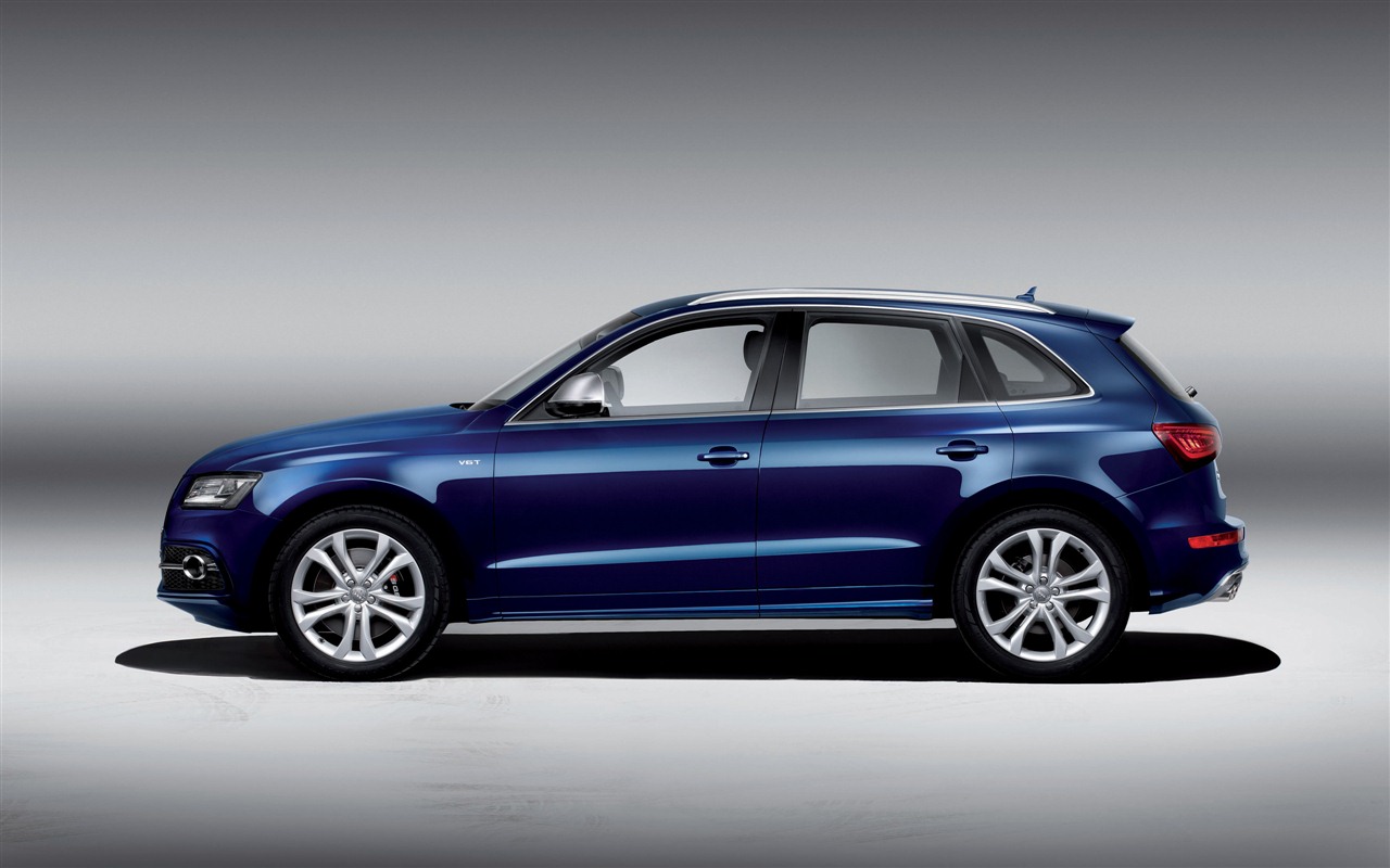 2013 Audi TDI SQ5 HD tapety na plochu #5 - 1280x800