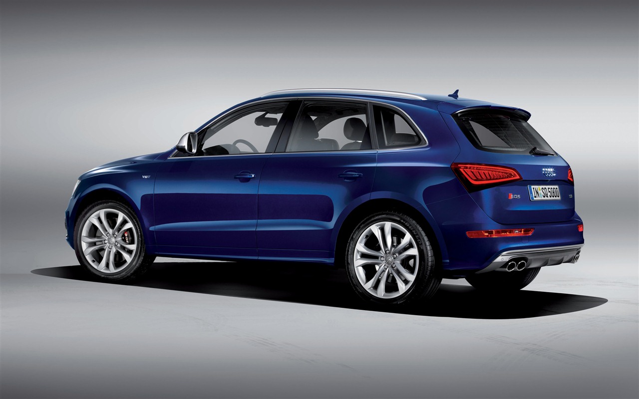 2013 Audi SQ5 TDI 奥迪 高清壁纸6 - 1280x800