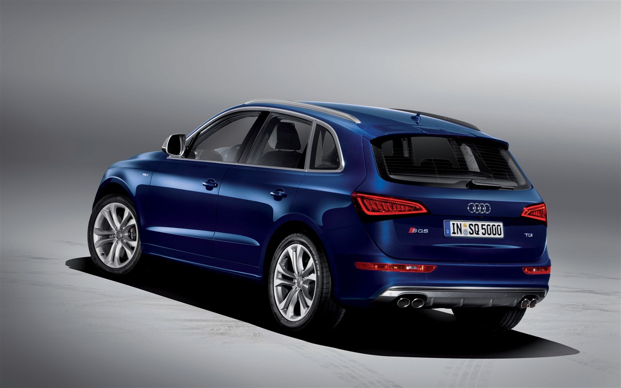 2013 Audi SQ5 TDI HD wallpapers #7 - 1280x800