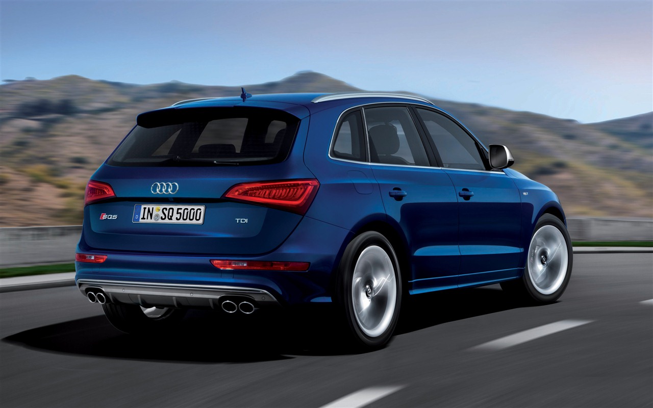 2013 Audi SQ5 TDI 奥迪 高清壁纸9 - 1280x800