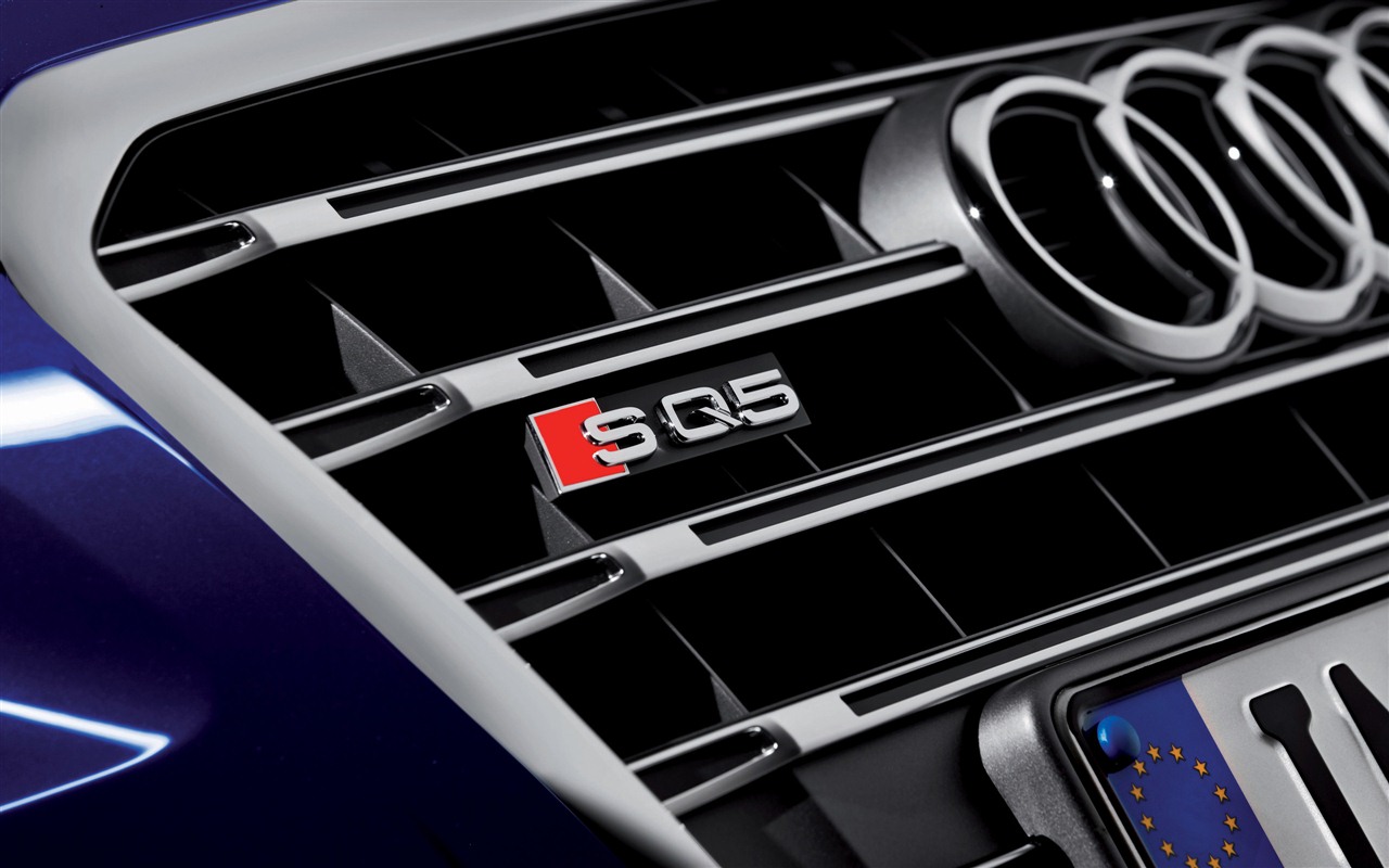 2013 Audi SQ5 TDI 奥迪 高清壁纸11 - 1280x800