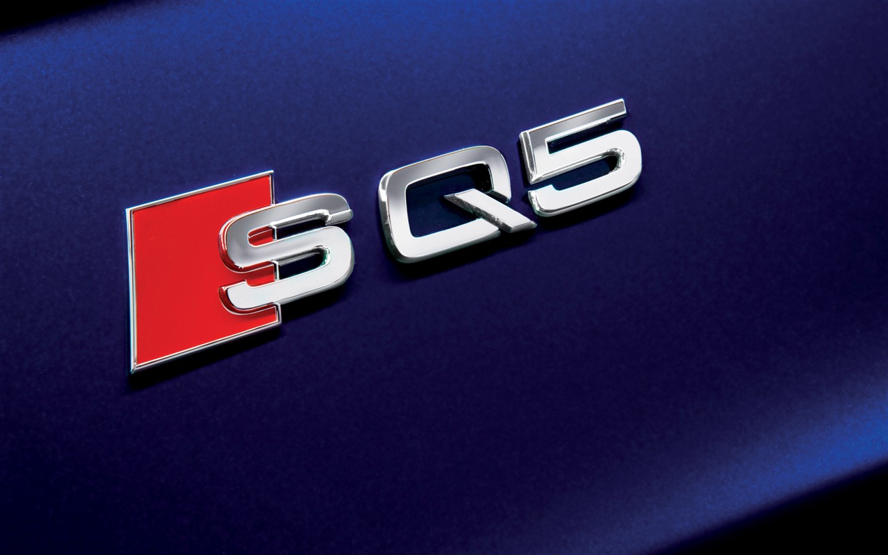 2013 Audi SQ5 TDI 奧迪 高清壁紙 #13 - 1280x800