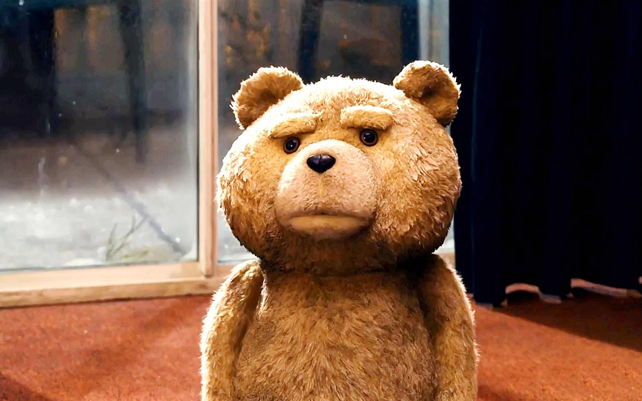 Ted 2012 泰迪熊2012 高清壁紙 #17 - 1280x800