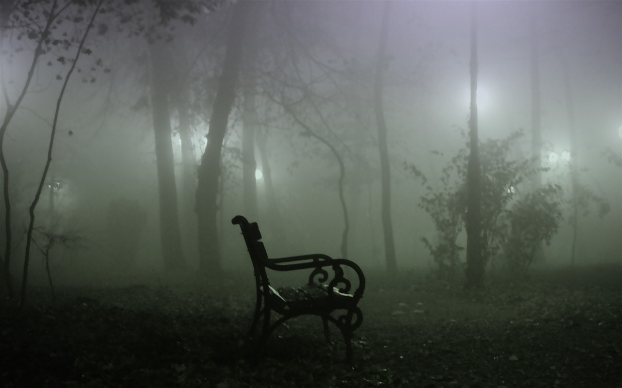 Windows 7 Wallpapers: Automne Eerie #8 - 1280x800