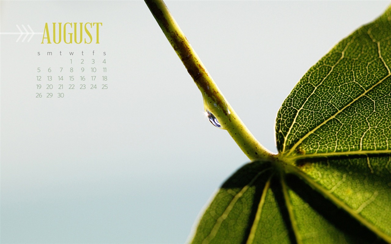 August 2012 Calendar wallpapers (2) #7 - 1280x800