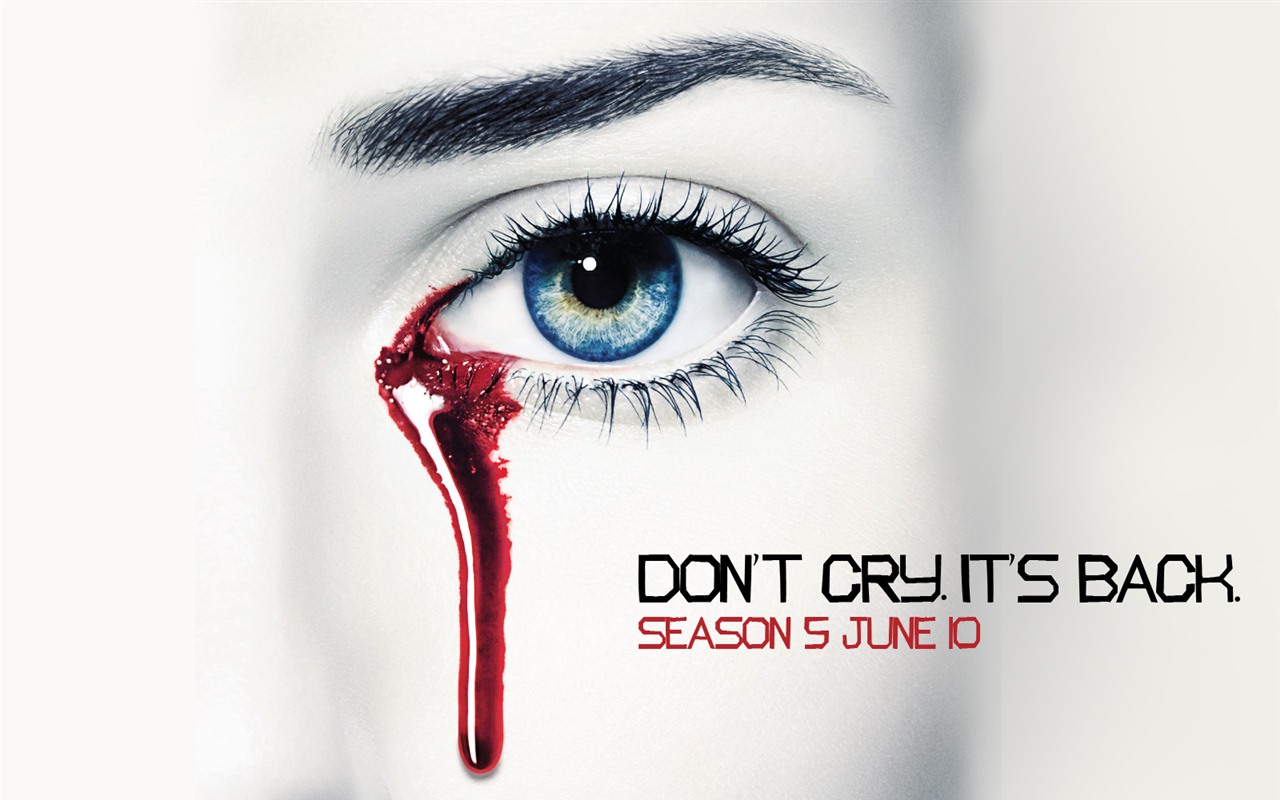 True Blood TV film HD tapety na plochu #17 - 1280x800