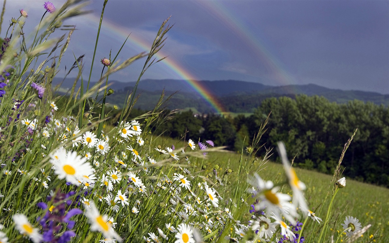 Windows 7 Wallpapers: Arco iris #9 - 1280x800