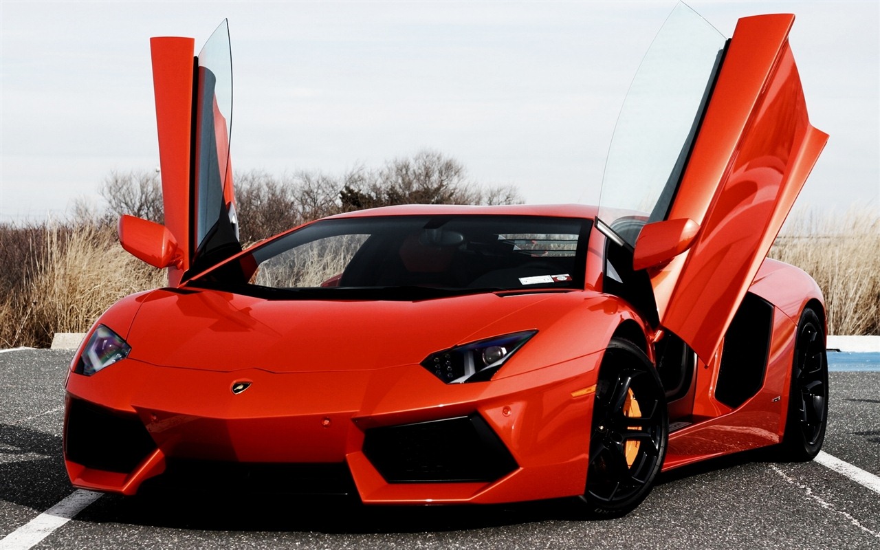 2012 Lamborghini Aventador LP700-4 HD wallpapers #23 - 1280x800