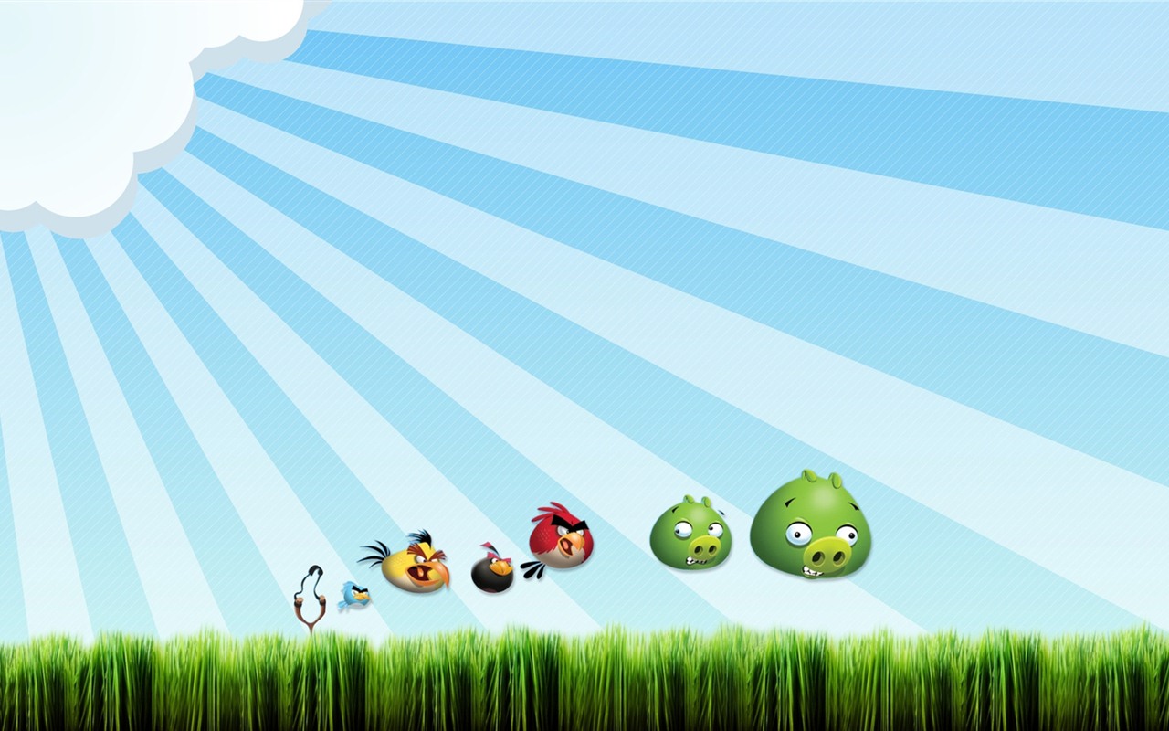 Angry Birds hra na plochu #4 - 1280x800