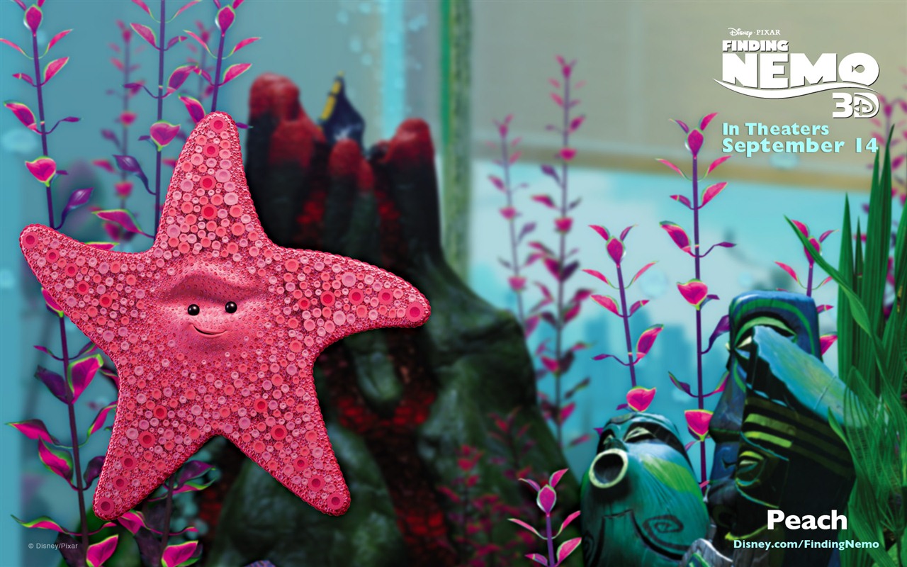 Finding Nemo 3D 海底總動員3D 2012高清壁紙 #20 - 1280x800