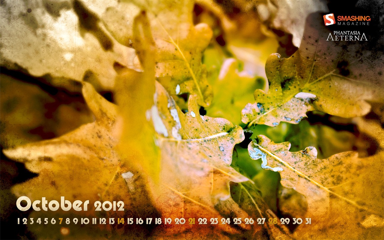 Octobre 2012 Calendar Wallpaper (1) #5 - 1280x800