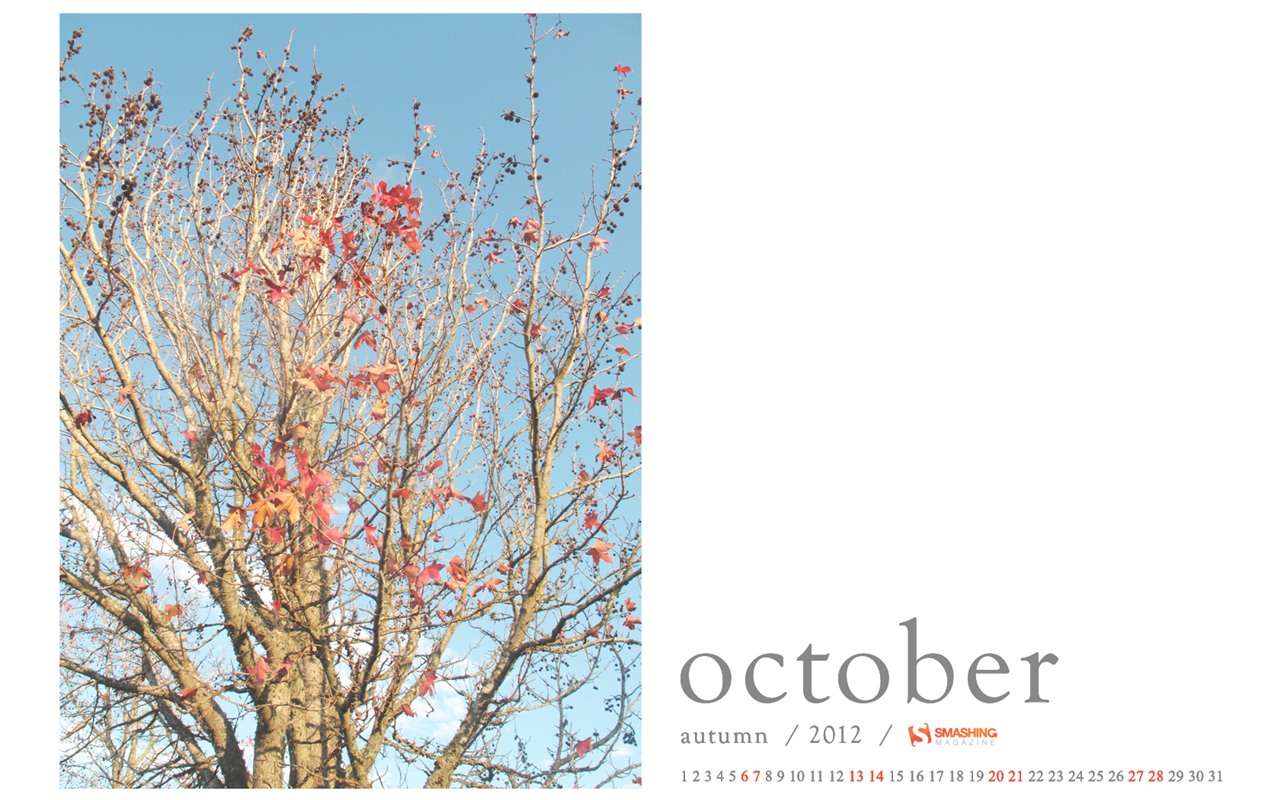 Octobre 2012 Calendar Wallpaper (1) #6 - 1280x800